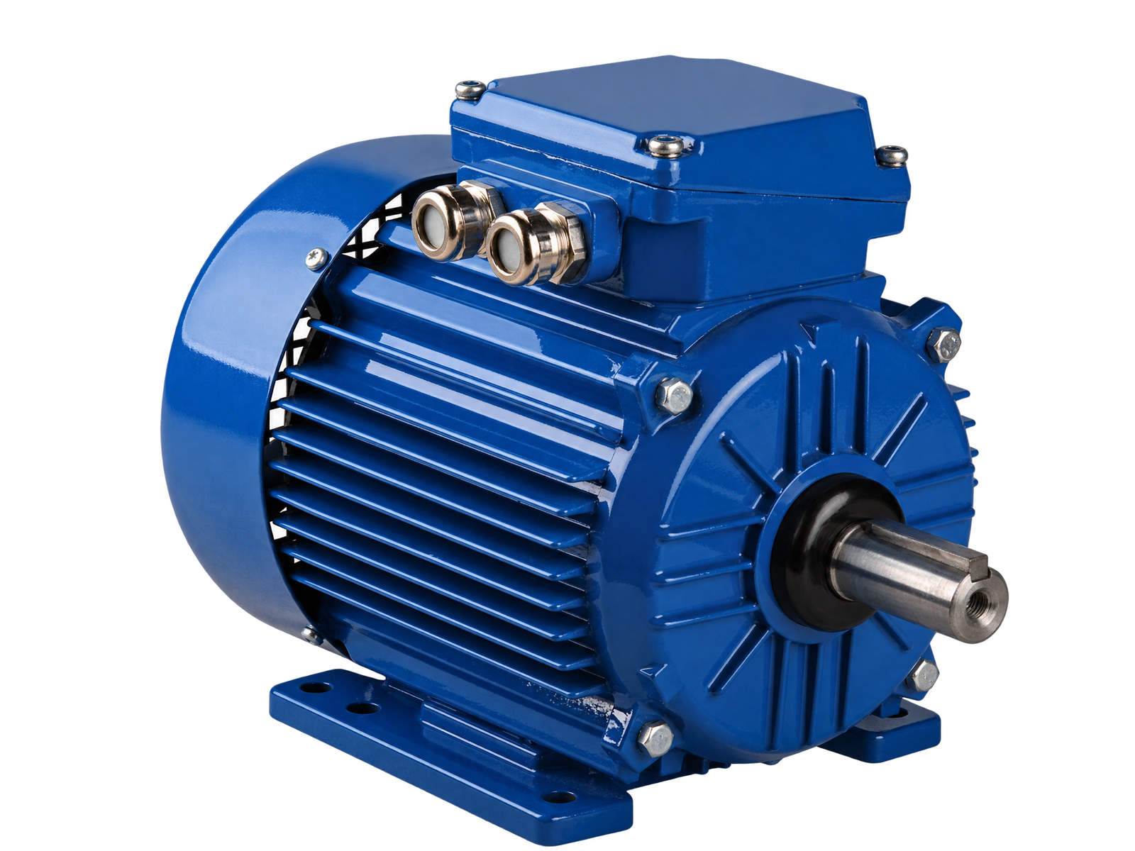 Common Electric Motor