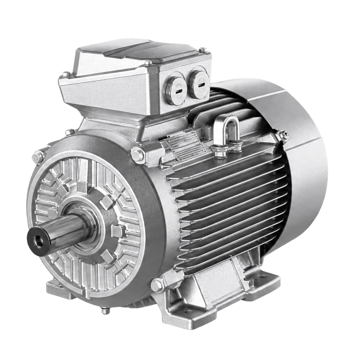 Severe Duty Motors